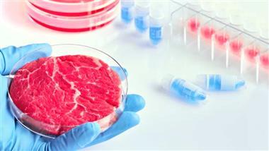 Vat-Grown Protein Is Just Patented Fake Meat